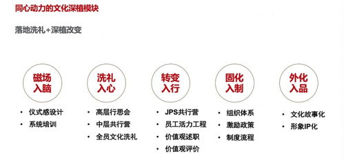 企业文化管理 我们的专注业务 同心动力