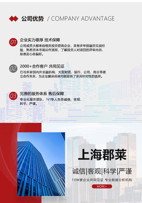 项目未来收益及债务偿还能力分析论证报告