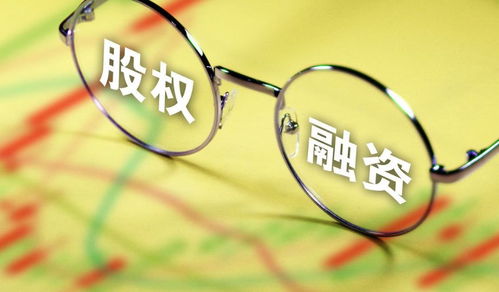 创业大脑加油站 股权融资访谈解读 一 基础篇