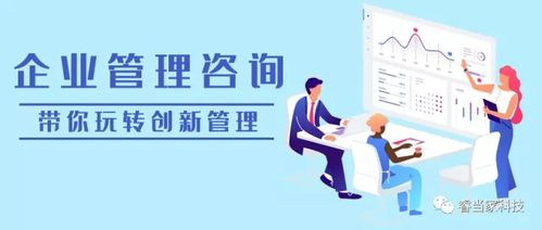 睿当家 企业咨询